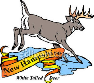 300x266 State Animal Of New Hampshire, The White Tailed Deer Royalty Free