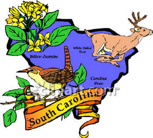 300x271 White Tailed Deer Clipart South Carolina State