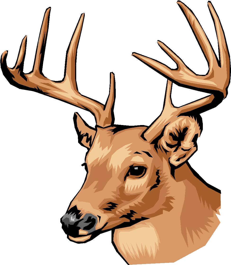 976x1119 Antler Clipart Stag Head