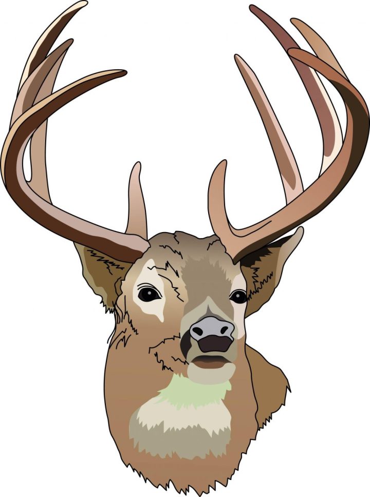 720x968 Whitetail Deer Clipart Free Download Clip Art