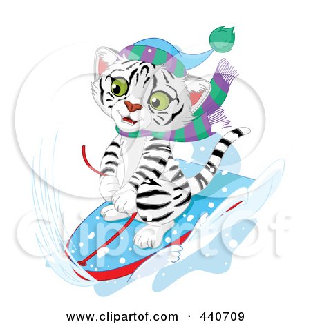 450x470 Royalty Free (Rf) White Tiger Clipart, Illustrations, Vector