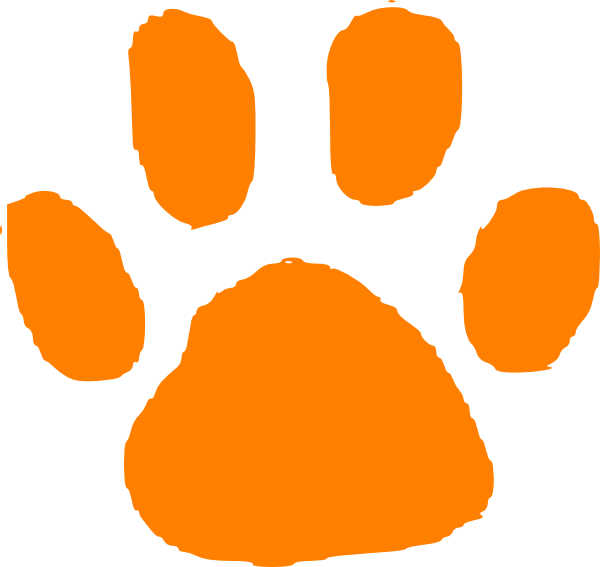 600x567 Tiger Png, Svg Clip Art For Web