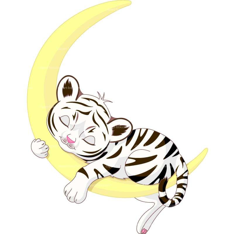 800x800 Clipart White Tiger Sleeping Royalty Free Vector Design Clip