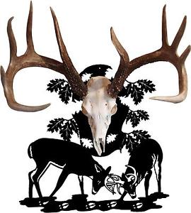 270x300 European Mount Taxidermy Ebay