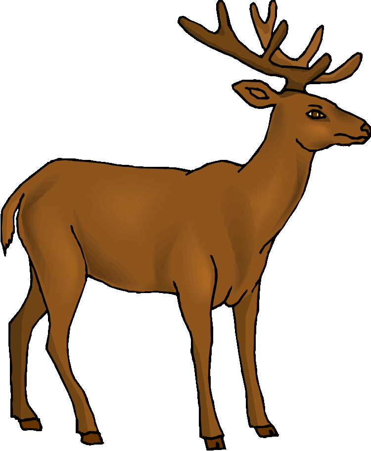 750x911 White Tailed Deer Clipart