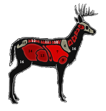 362x380 Whitetail Deer The Hunter Wikia Fandom Powered By Wikia