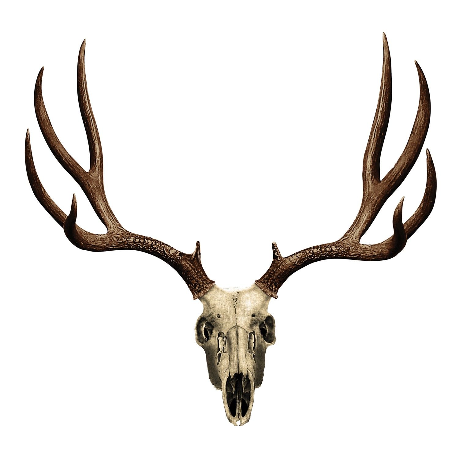 1500x1500 Best Deer Skull Clip Art