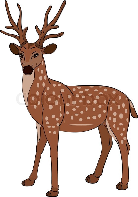558x800 Deer Clipart, Suggestions For Deer Clipart, Download Deer Clipart