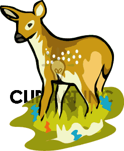 247x300 Whitetail Deer Clip Art Free Clipart Panda