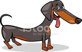 313x200 Dachshund Dog Cartoon Illustration Stock Vectors