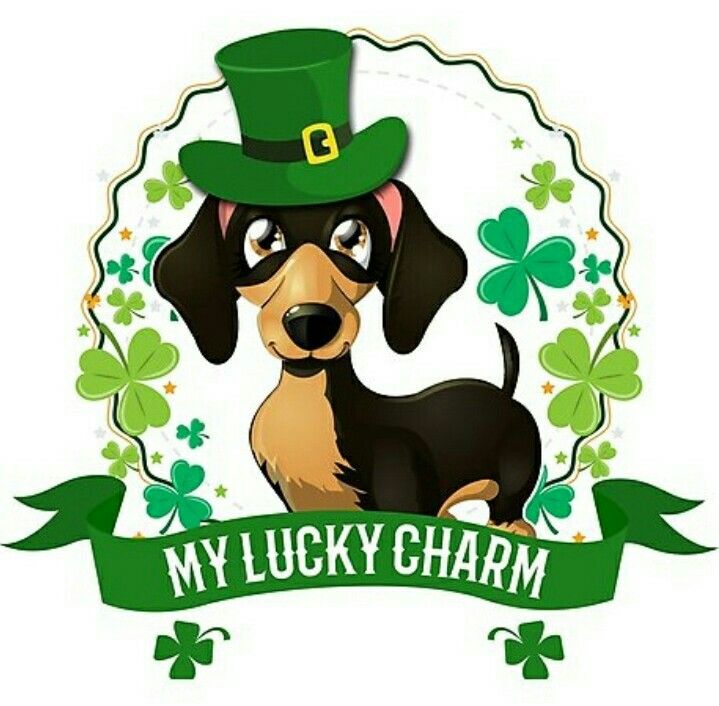 719x706 660 Best Dachshund Clipart Images On Dachshunds