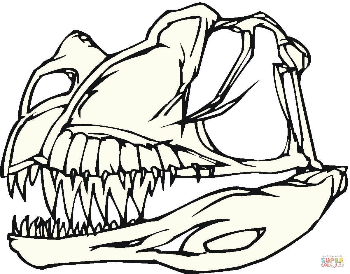 1200x939 Bone Coloring Page Mosm