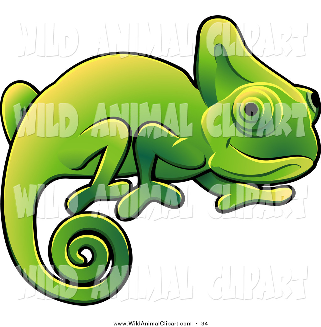 1024x1044 Top 85 Chameleon Clip Art