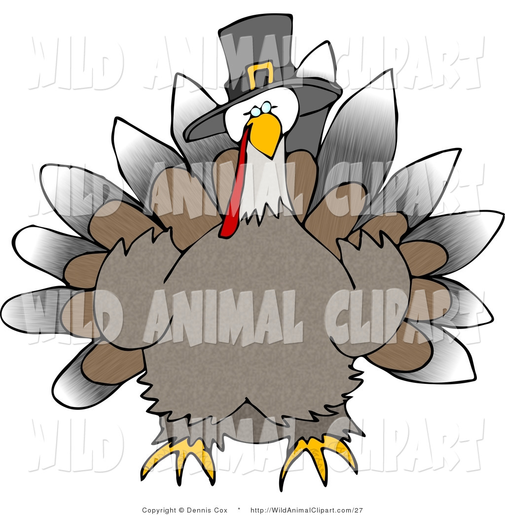 1024x1044 Royalty Free Bird Stock Wildlife Designs