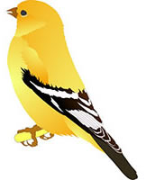 162x200 Wild Bird Clip Art Cliparts