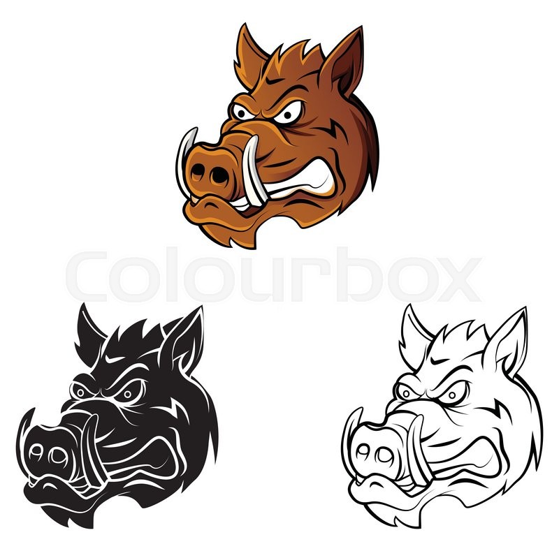 800x789 Coloring Book Wild Boar Head Cartoon Character Stock Vector
