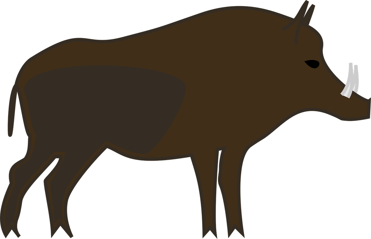 1280x824 Wild Boar Common Warthog Clip Art