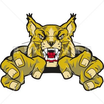 361x361 Clipart Image Of A Wildcat Graphic In Color Wildcat Clipart