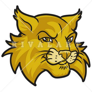 361x361 Free Wildcat Clipart Free Download Clip Art