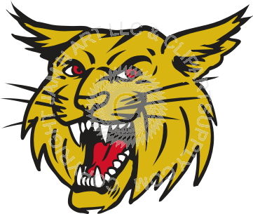 361x305 Beautiful Wildcat Pictures