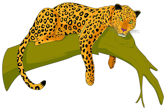 700x464 Big Cat Clipart Jaguar