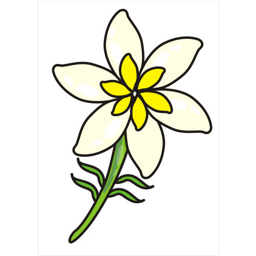 500x500 Top 94 Jasmine Clip Art Free Clipart Image Flower