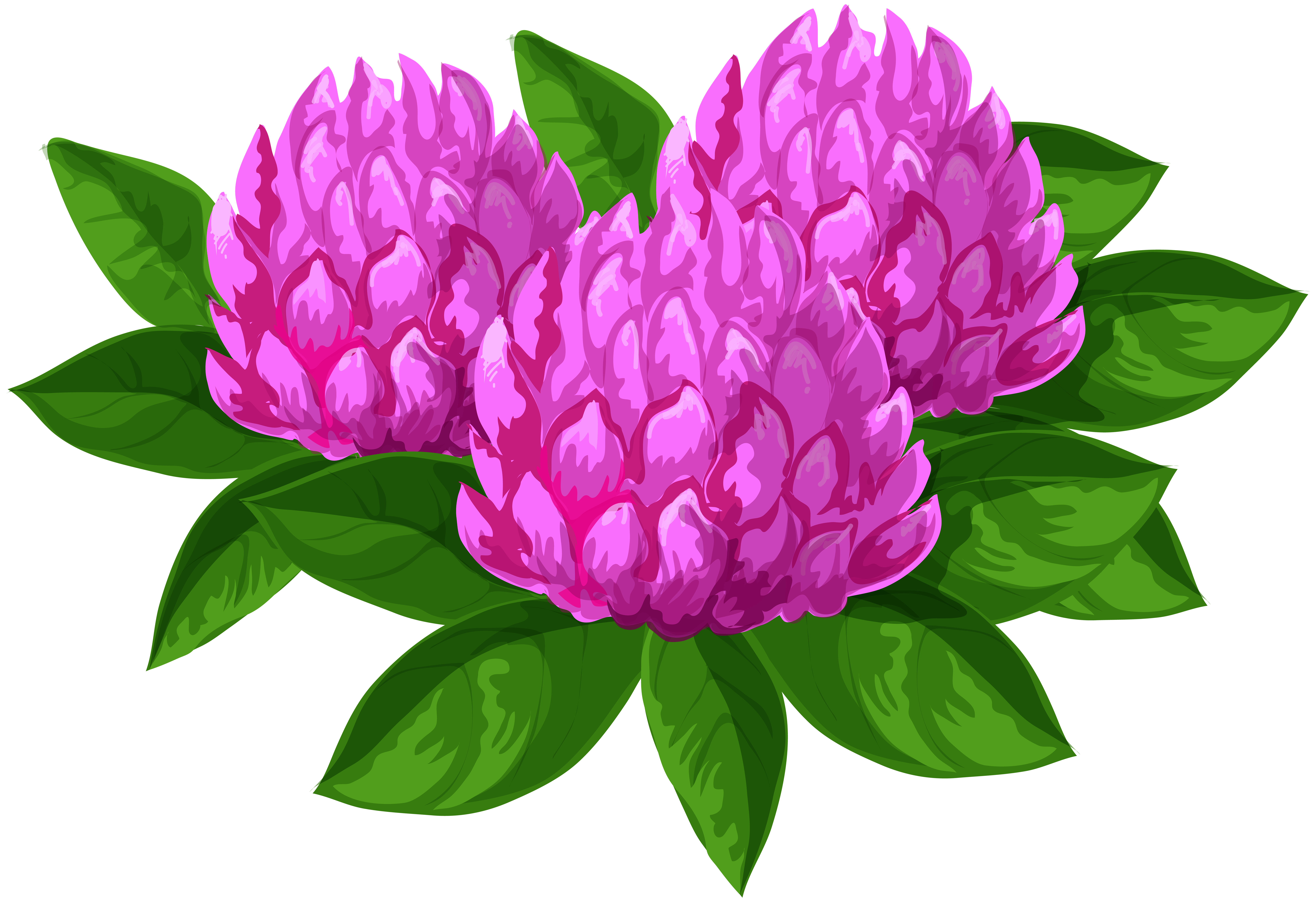 8000x5484 Wild Flowers Png Clip Art Imageu200b Gallery Yopriceville