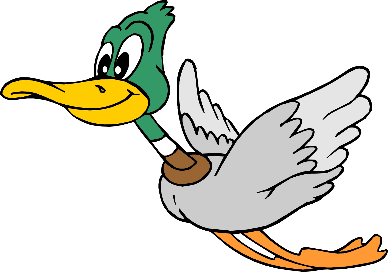1509x1058 Wild Duck Clipart