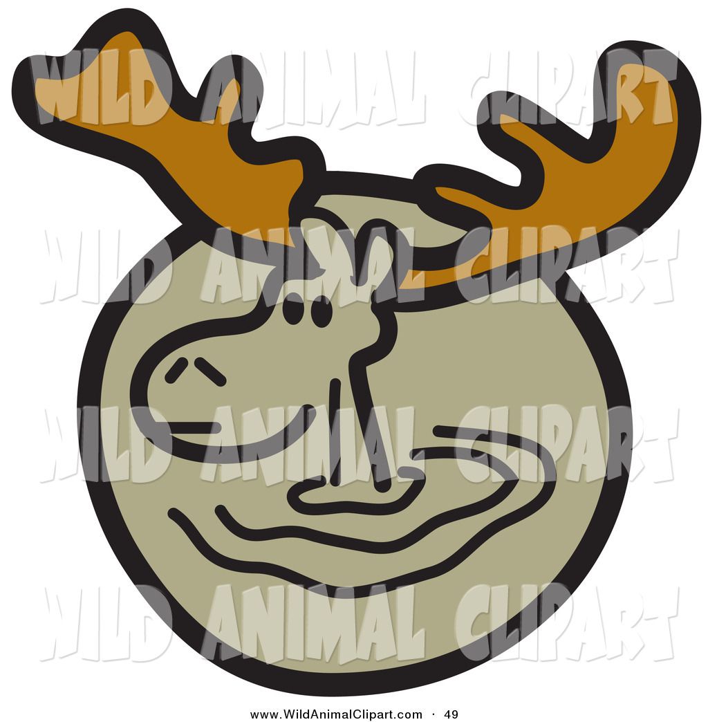 1024x1044 Royalty Free Deer Stock Wildlife Designs