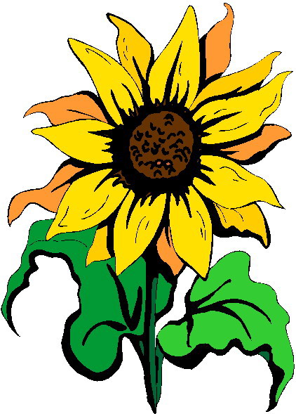 422x589 Sunflower Clip Art Flowers And Plants