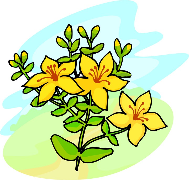 720x685 Yellow Flower Clipart Flower Growing 4073808