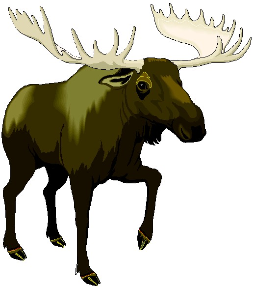 516x584 Moose Clip Art Free Wildlife Clipart Free Clipart Panda