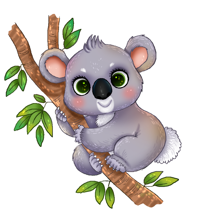 809x884 Wildlife Clipart Cute Koala