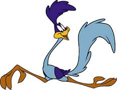 233x179 Free The Road Runner Clipart