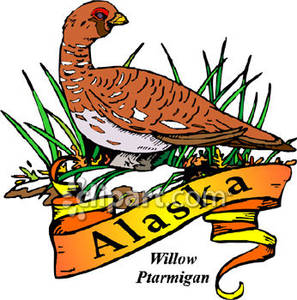 297x300 State Bird Oflaska, Willow Ptarmigan Sitting In Field