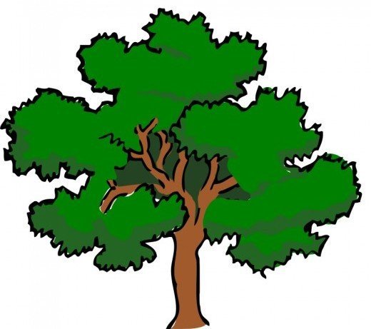520x461 Tree Clip Art 175 Free Clip Art Trees Hubpages