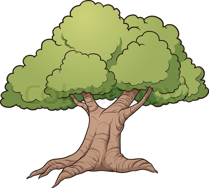 800x717 Valuable Cartoon Picture Of A Tree Oak Stock Vector Colourbox
