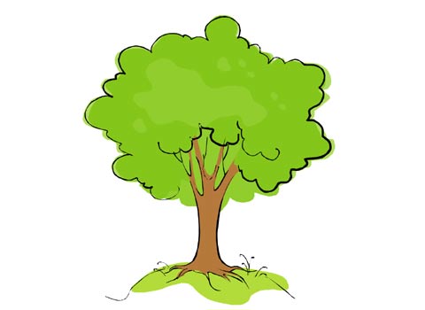 480x350 Quality Cartoon Picture Of A Tree Pictures Free Download Clip Art