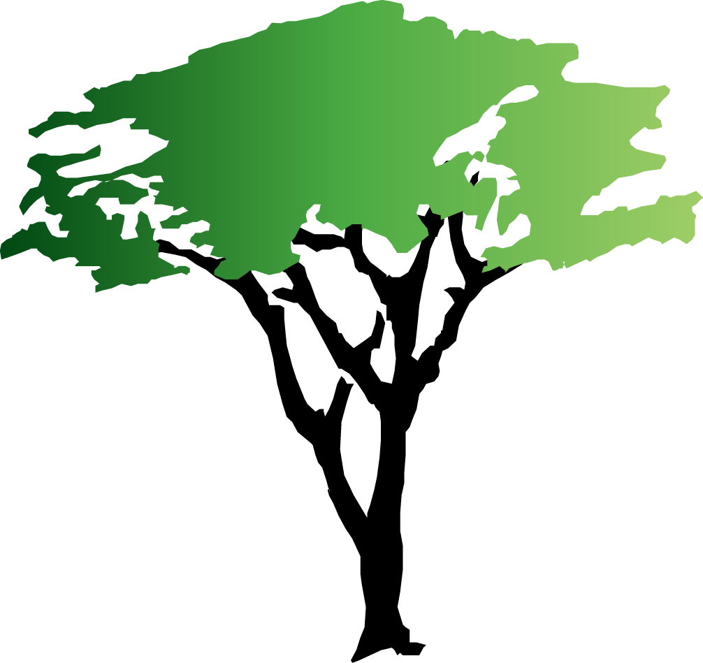 1006x949 Tree Drawings Clipart