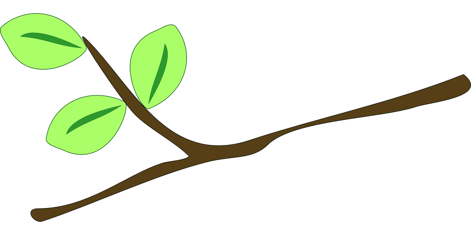 960x480 Branch Clipart Tree Stick