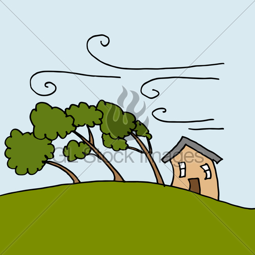 500x500 Heavy Winds Bending Trees On A Windy Day Gl Stock Images