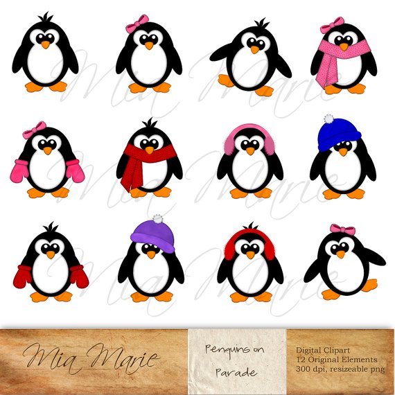 570x570 Instant Download