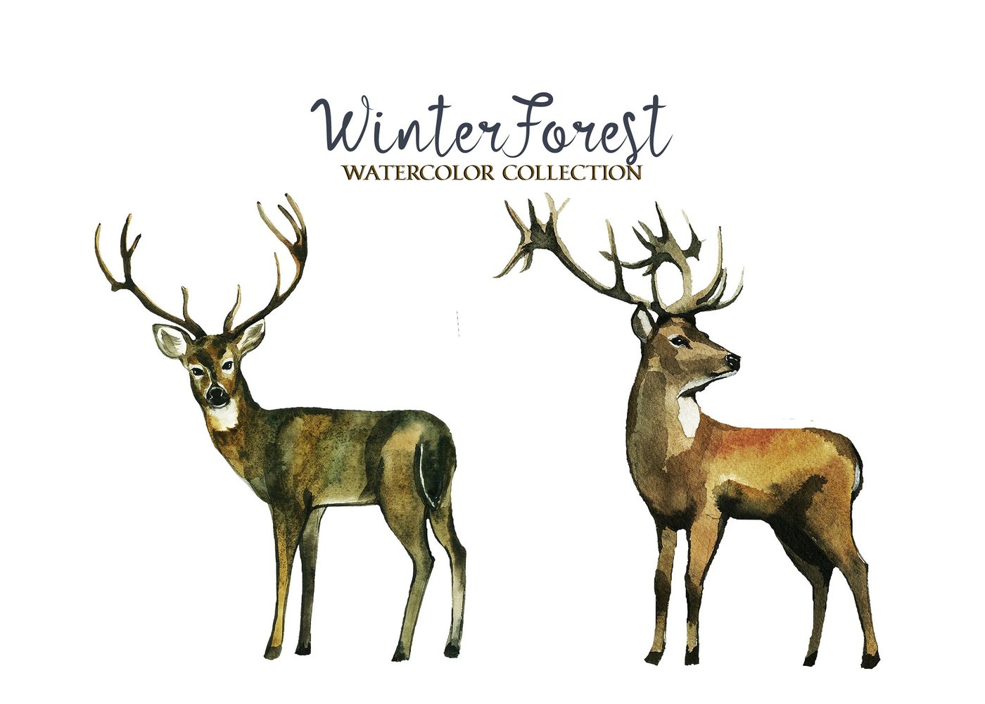 1400x1000 Winter Forest Watercolor Clipart