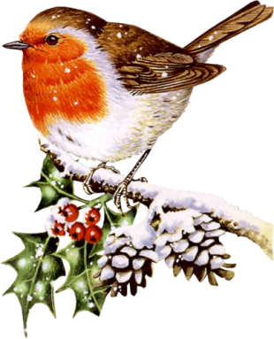 310x383 Cute Winter Bird Clip Art Clip Art Winter Bird Related Keywords