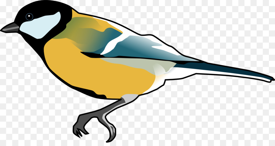900x480 Finch Bird Clip Art