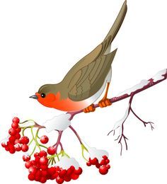 236x260 Free Download Etsy Ideas Bird Clipart, Bird