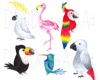 340x270 Watercolor Birds Clipart Winter Birds Clipart Woodland