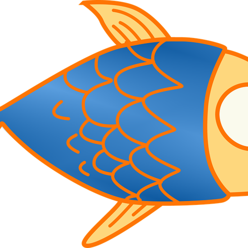1024x1024 Special Fish Clip Art For Kids Winter Clipart Hatenylo Com