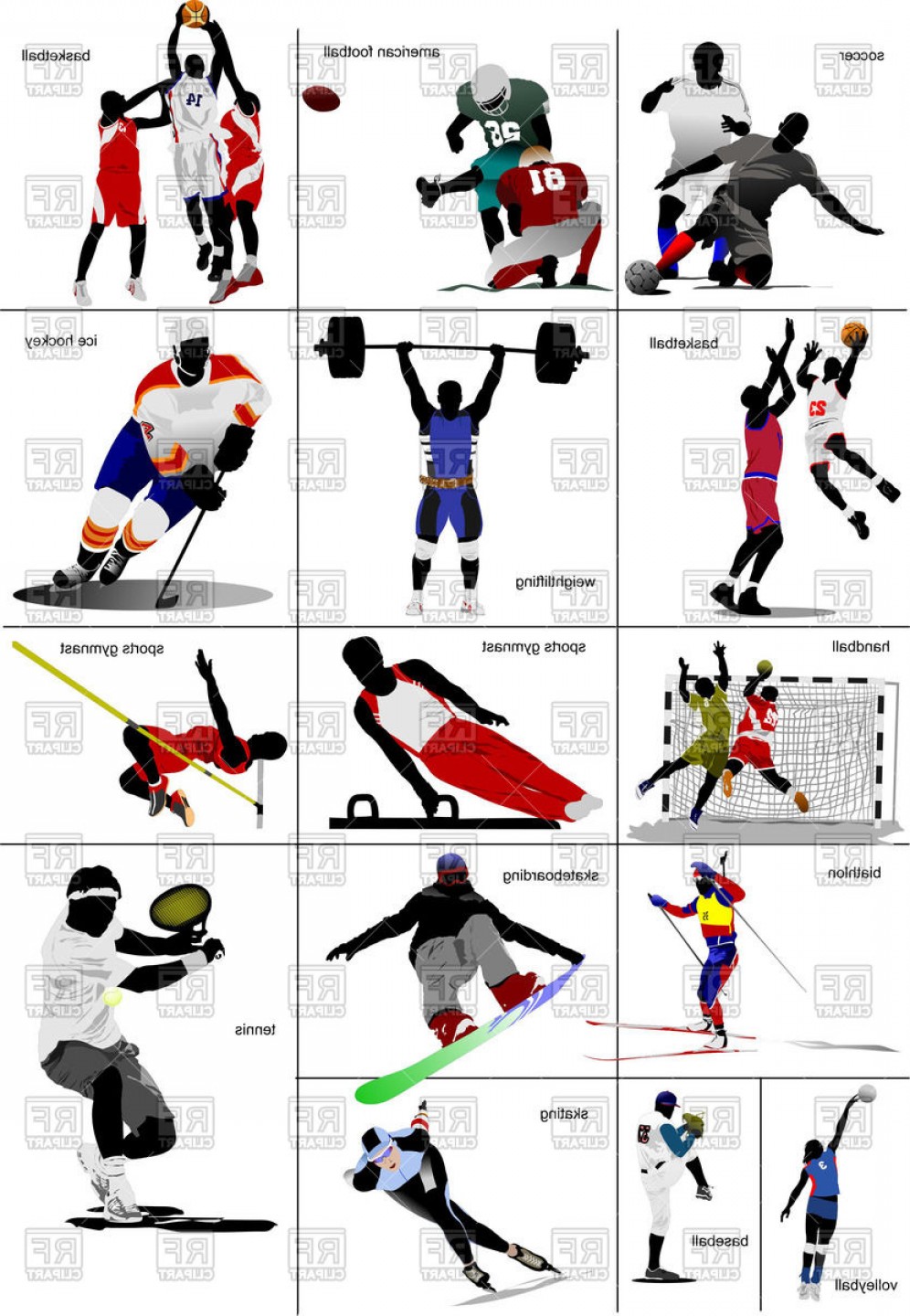 996x1440 Sportsman Athletes Summer And Winter Sports Vector Clipart