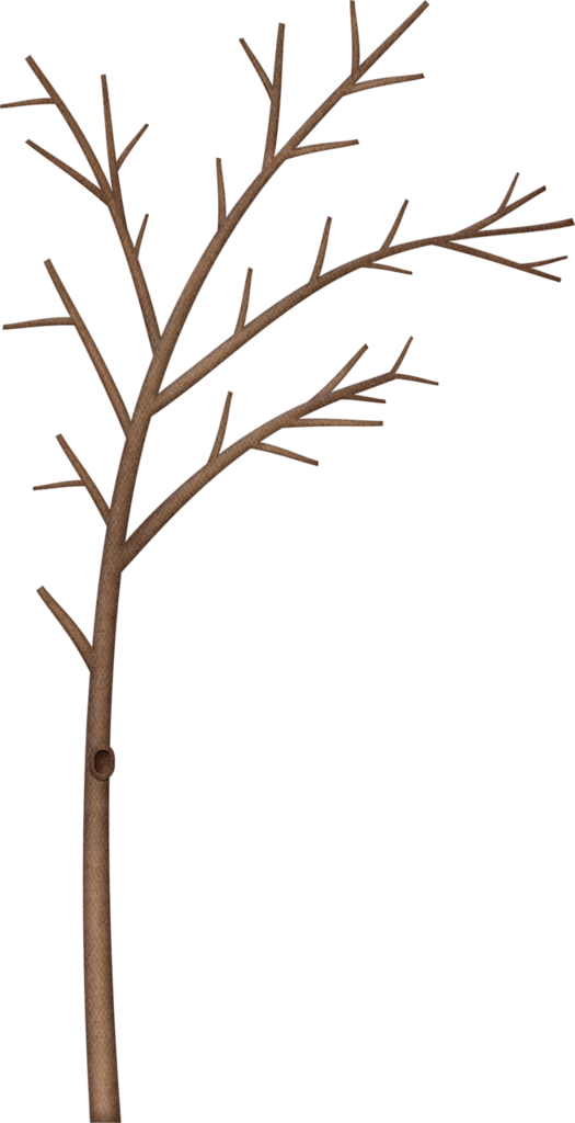 525x1024 Kaagard Littleforestwinter Tree1.png Clip Art, Tree Clipart